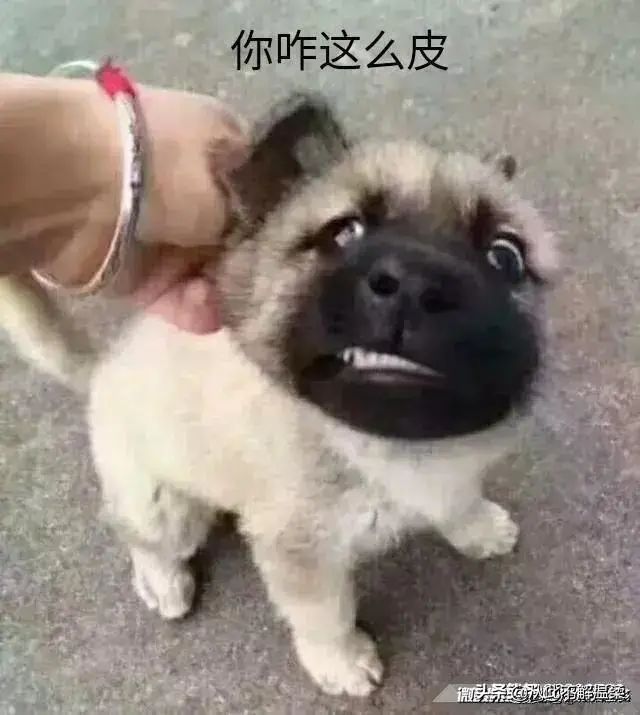 千古风流有没有大帮派?截图