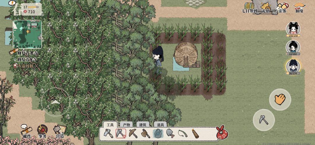 移植成功（） 2