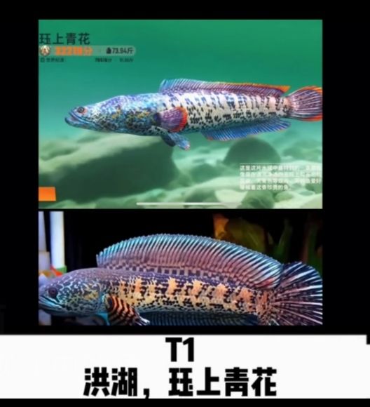 真 2