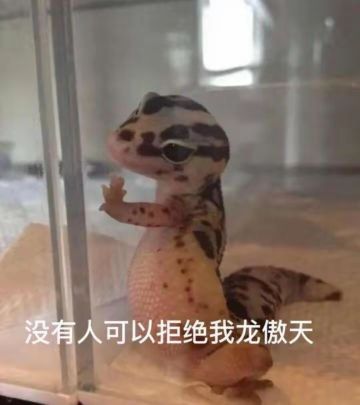 第三部分职业解析 射手 战士