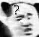 我这还有玩下去的必要吗??? 2