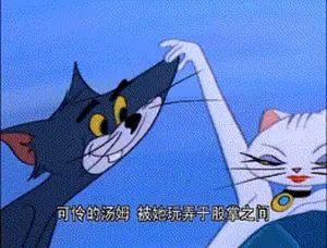 关于哥布林（宝藏龙）的注意事项