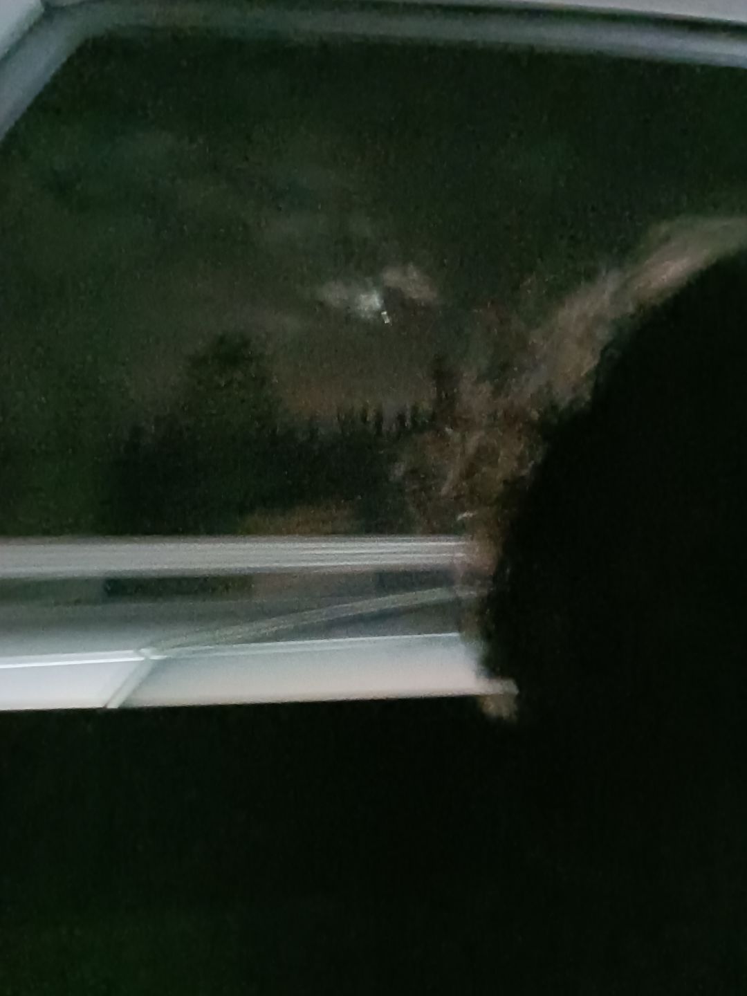 可爱的头像 1