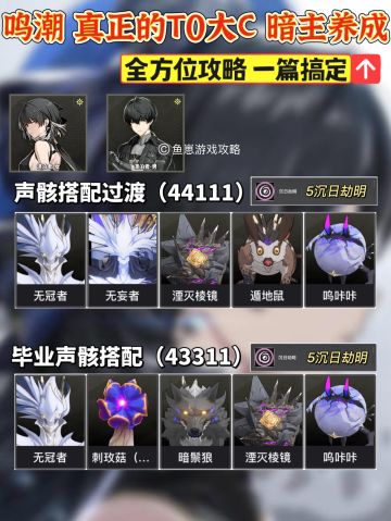 「鸣潮」真正的T0 暗主漂泊者 最全养成