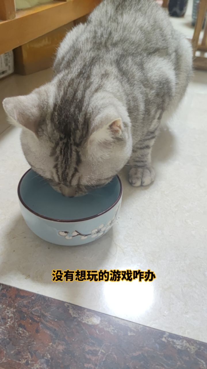 没有想玩的游戏截图