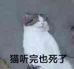 18号要开的区有营地嘛 1