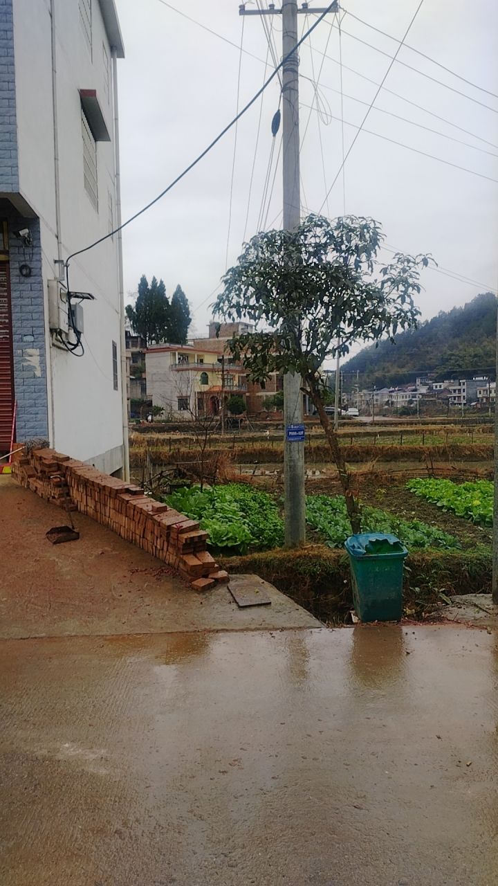 这游戏人多不多,多久一个区。落后一天进区影不影响啊截图