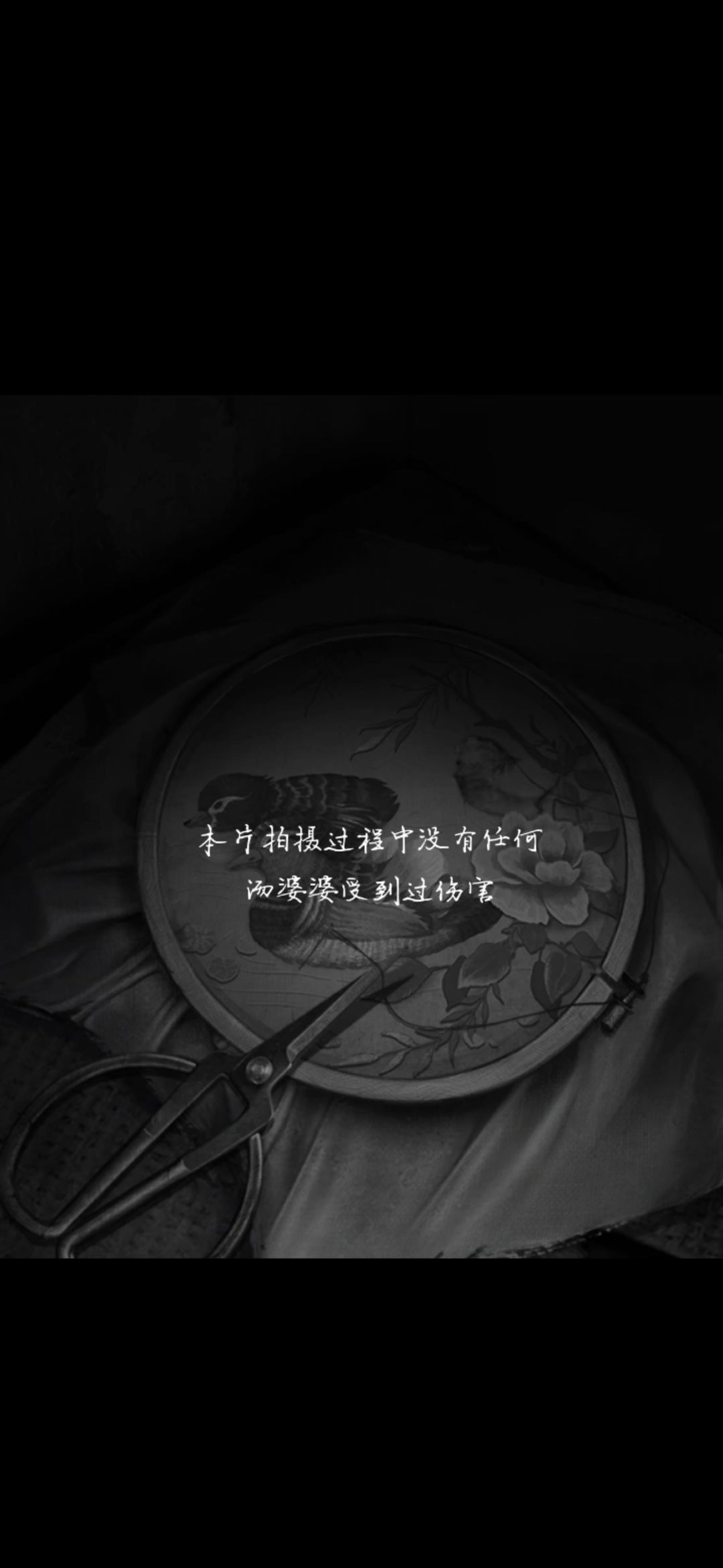 动态图片 4