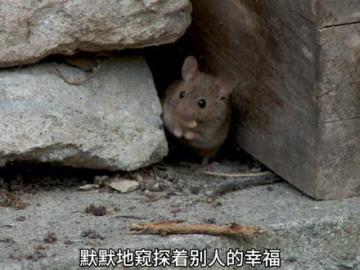 我的真实超小事件