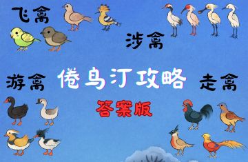 【答案版】倦鸟汀攻略