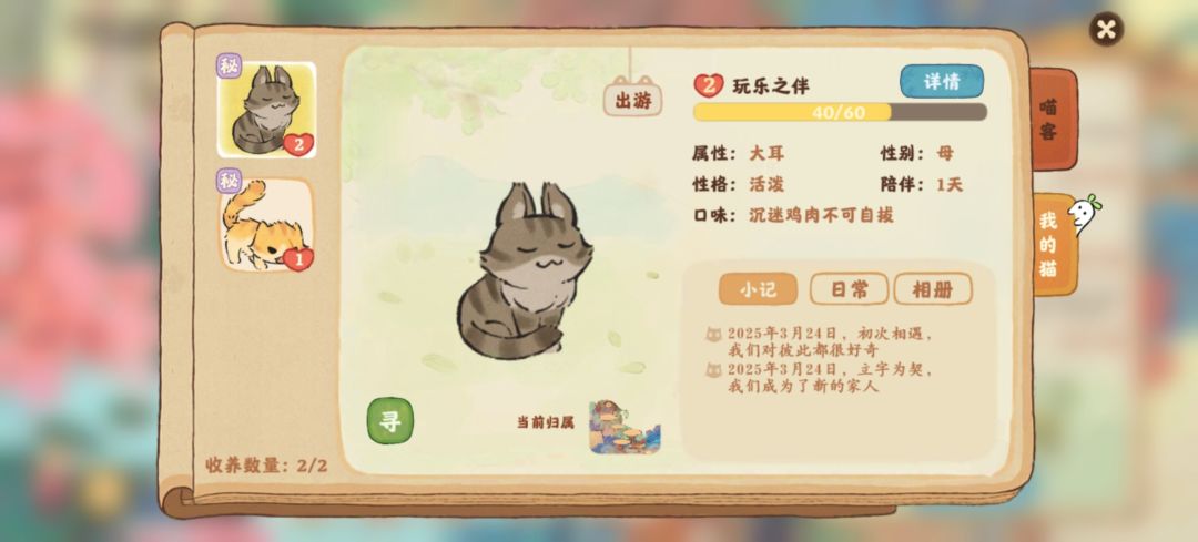 纪念一下两只隐藏猫猫 1