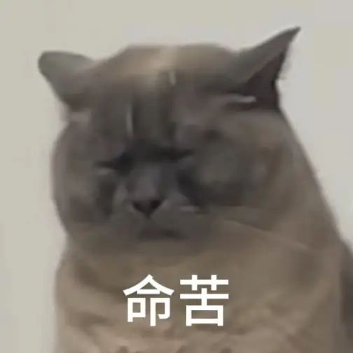 求求大佬给个码 1