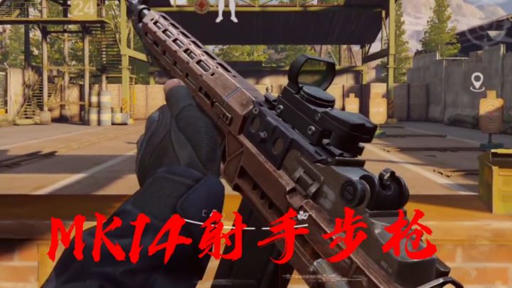 真难顶啊!我熬了几个赛季,总算用这把枪上传说了!截图