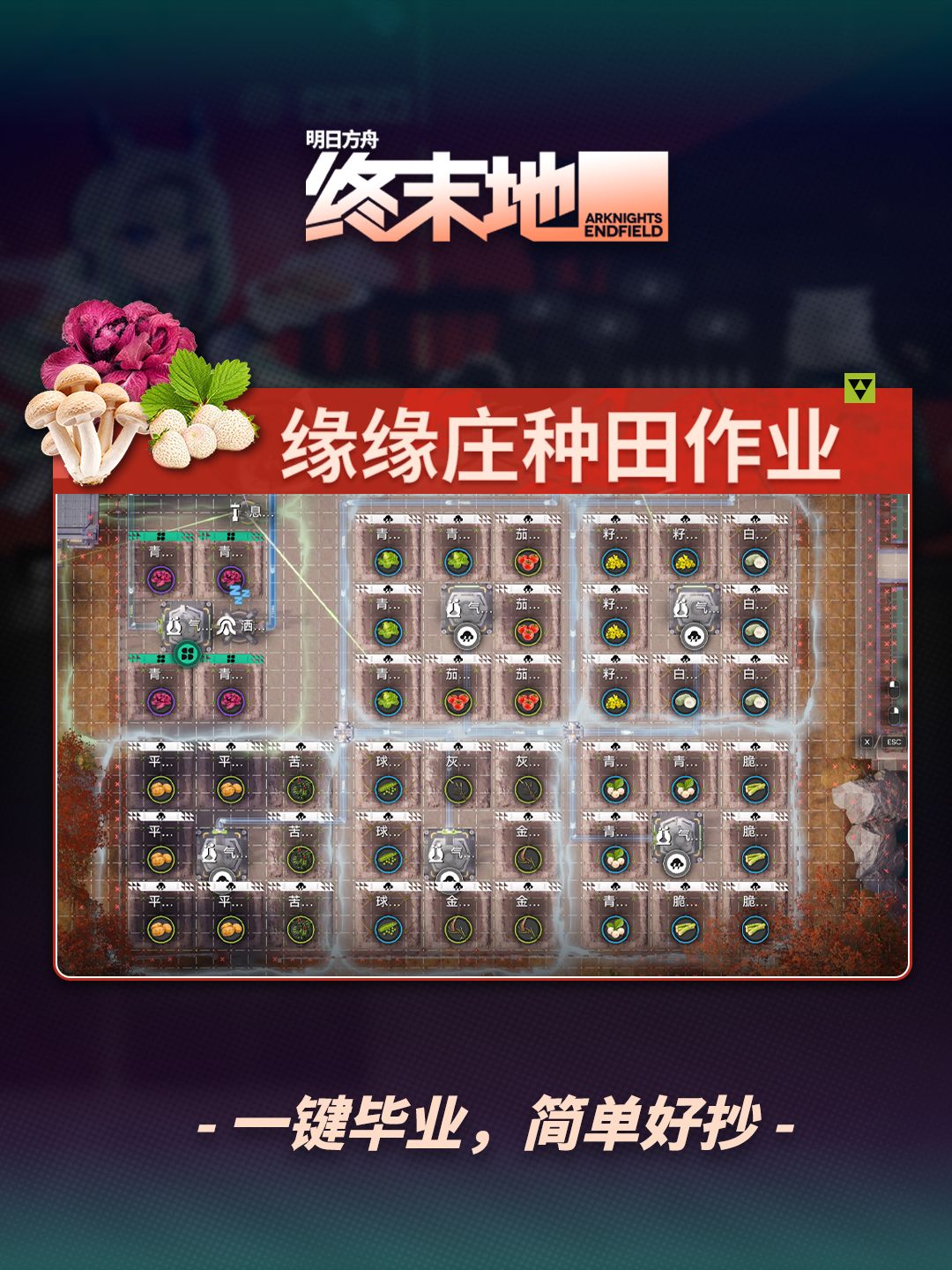 「缘缘庄」毕业种田作业 1