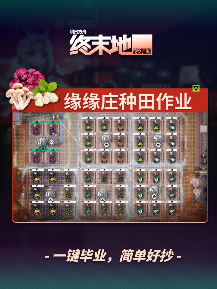 「缘缘庄」毕业种田作业截图