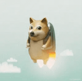 高招副A什么时候换 1