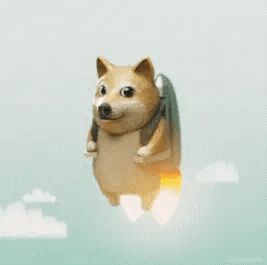 高招副A什么时候换截图