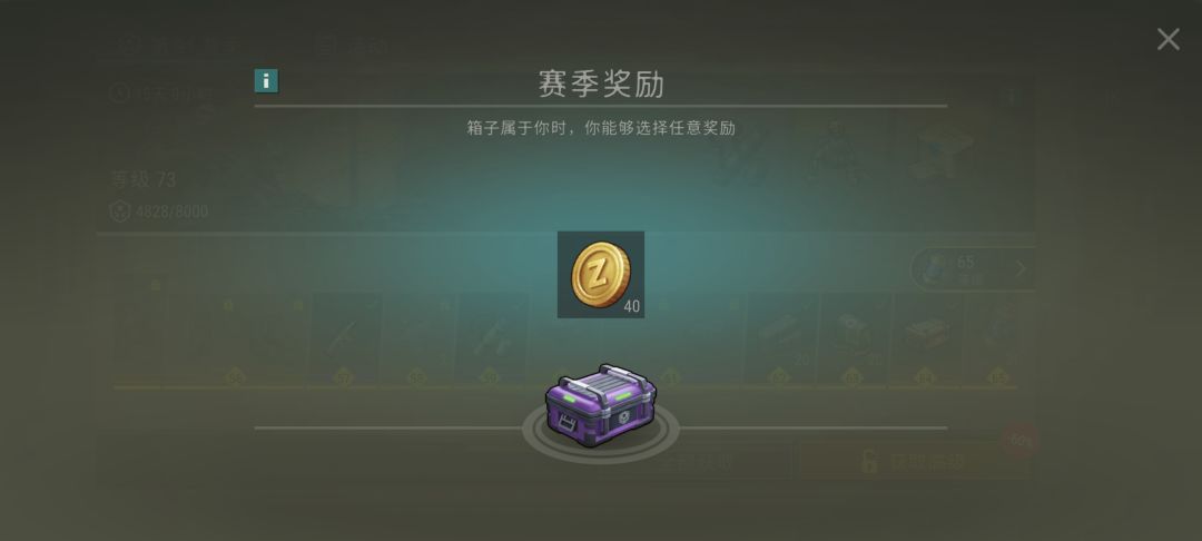 关于通行证奖励截图