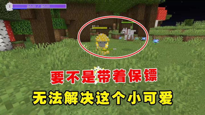 我的世界魔法艺术3：要不是带着保镖，还无法解决这个小可爱截图
