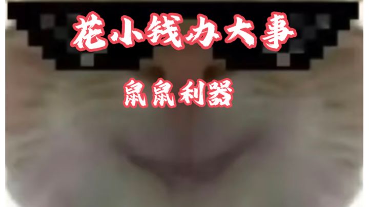 【三角洲行动】高性价比平民神器第四期！花小钱办大事，鼠鼠利器截图