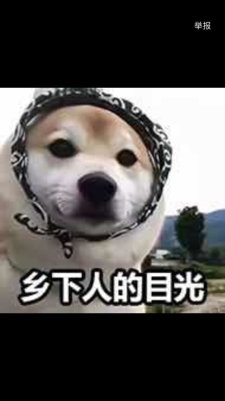 子嗣系统的问题有没有修复截图