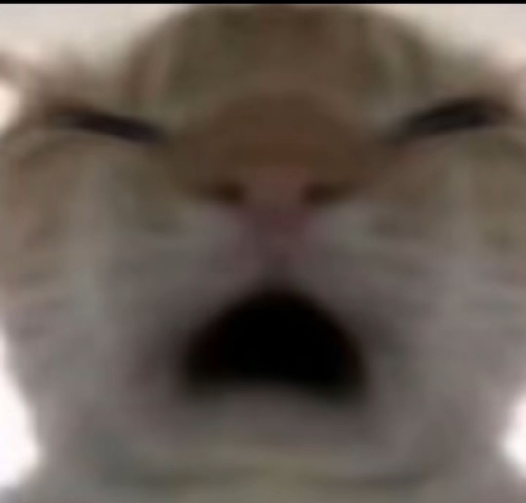 差60抽大保底,献出肝脏吧! 3