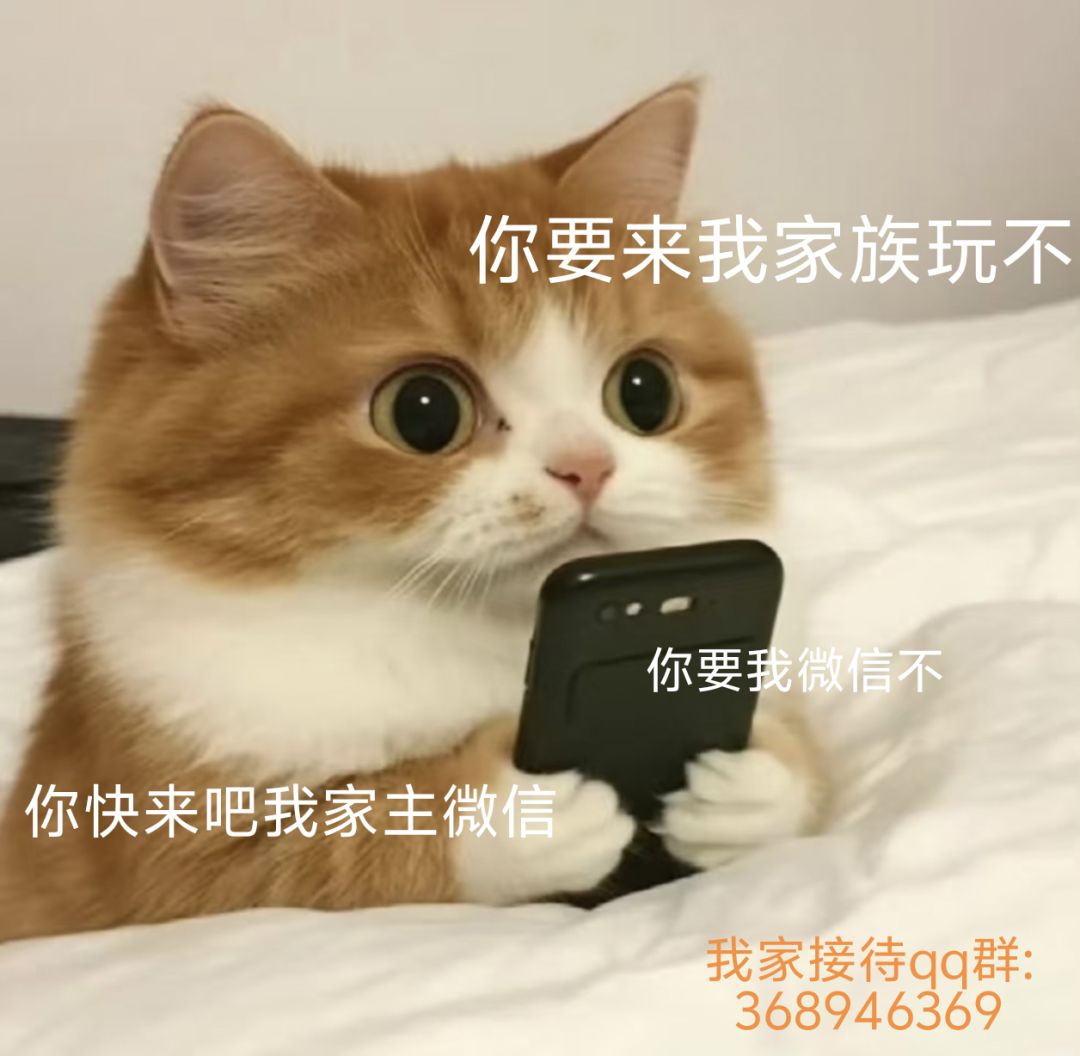你要来我家族玩不?你要我微信不?我家招人 1