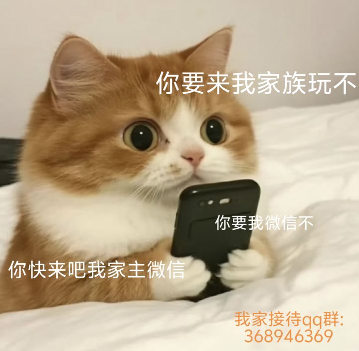 你要来我家族玩不?你要我微信不?我家招人截图