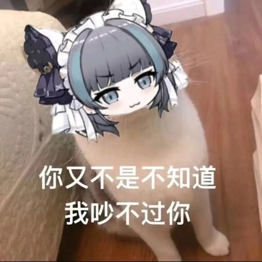 🌟柴郡猫猫(碧蓝航线)表情包分享第六期🌟 2