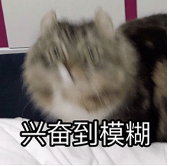 加我好友!快!加完邀我打工!截图