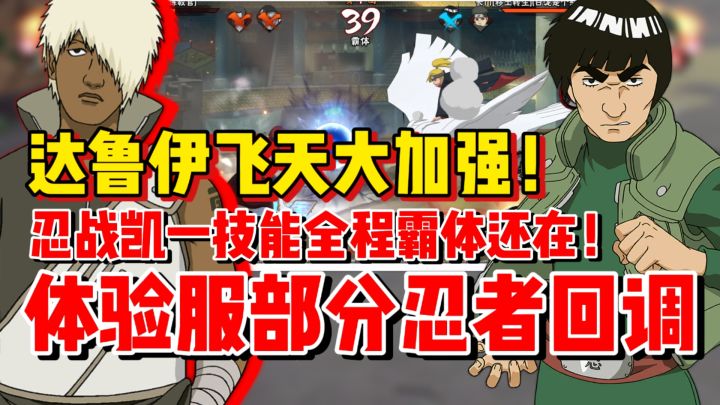 达鲁伊居然能飞到屏幕外!忍战凯一技能变霸体!!体验服更新吐槽截图