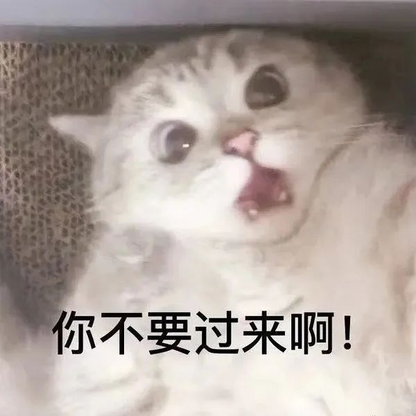 7.4了，大家加油，不要被策划分化了！ 2