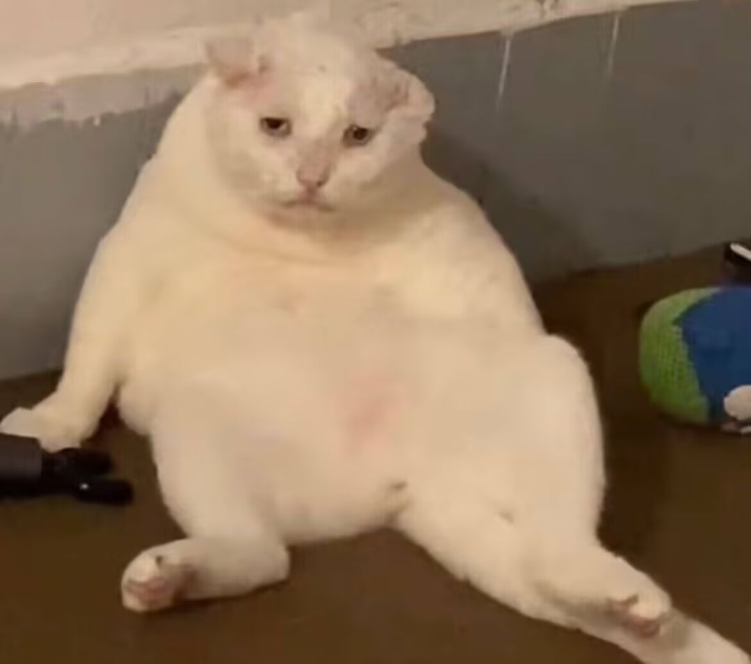 结束了 2