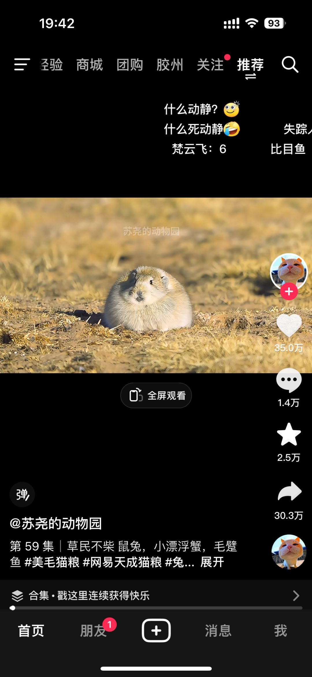像不像这次新出的直售胖鼠? 1