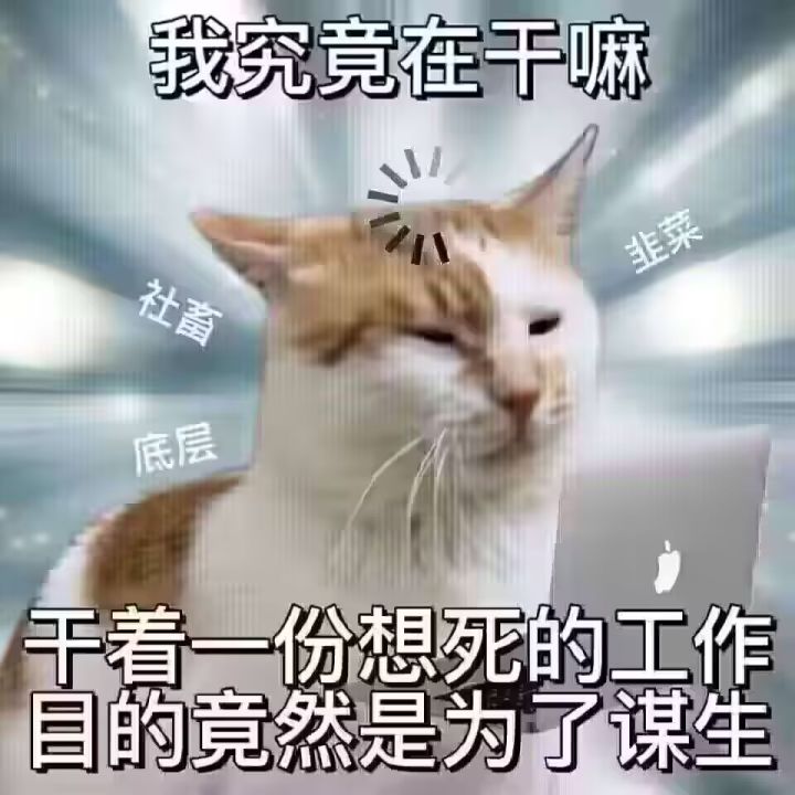 今天不开新区吗截图