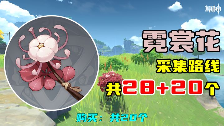 【原神】霓裳花采集路线(28+20个),购买:共20个截图