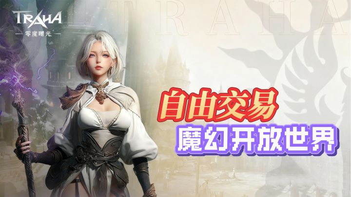 拥有无限转职和自由交易的大型中世纪魔幻题材开放世界手游截图