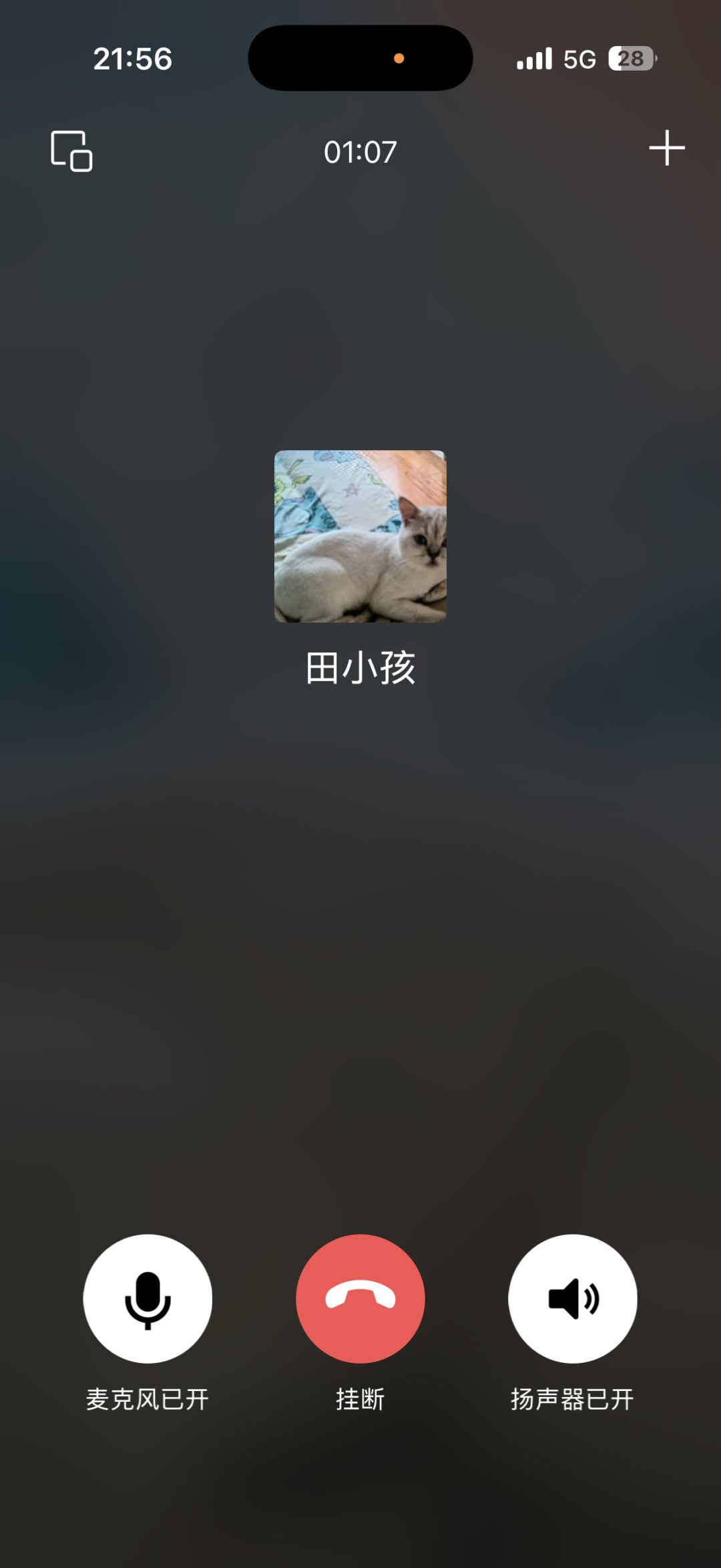 动态图片 5