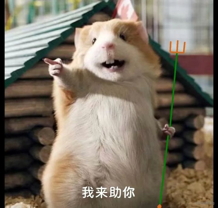 避个坑截图