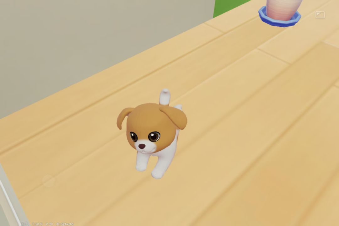 【心动小镇】今天有遇到心仪的狗吗?🐶 3