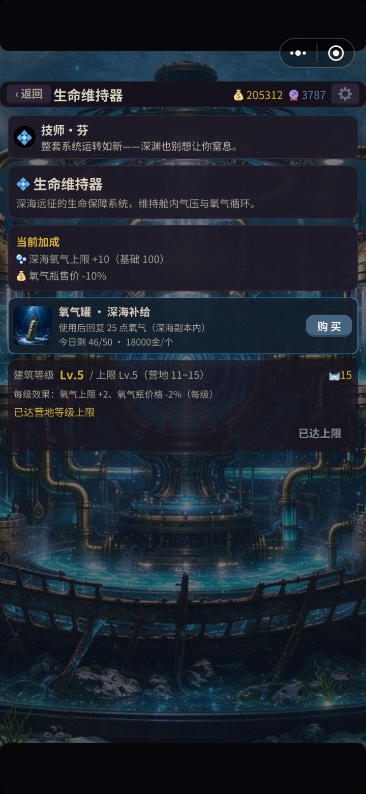买了氧气瓶但是进本不显示 是不是bug?截图