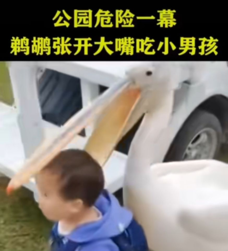 我他*吃吃吃吃吃吃吃吃 2