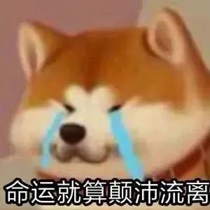 想要内测资格 2