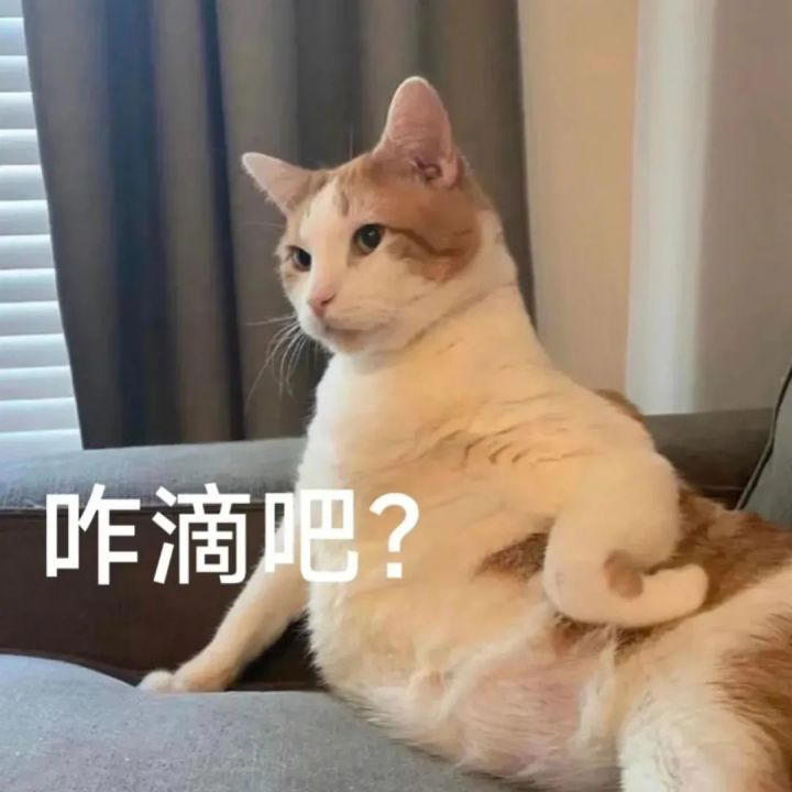 刚入坑截图