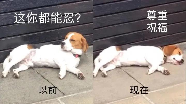 乐 1