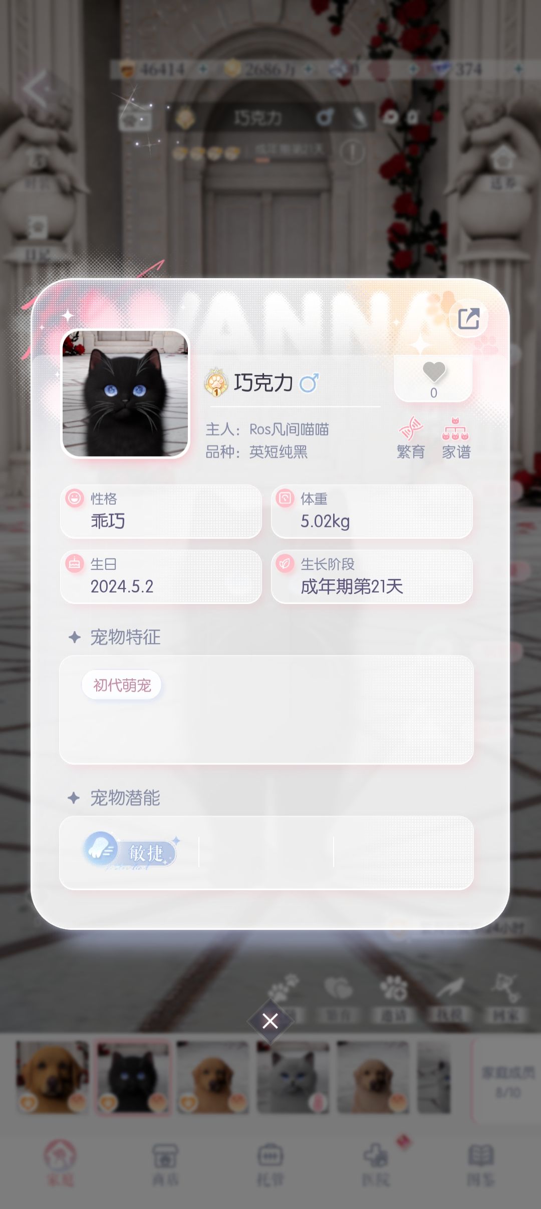 话说你们初始的宠物怎么办,都送养了吗? 2