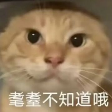 这闪光啊，就像耄耋一般，爱而不得