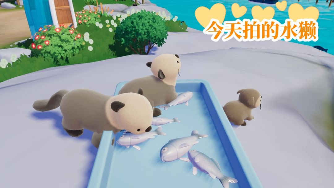 8.3萤石/溜溜木/兑换码 2