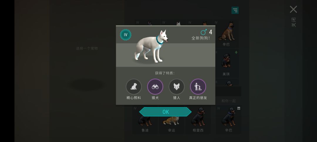狗子也过年啦 2