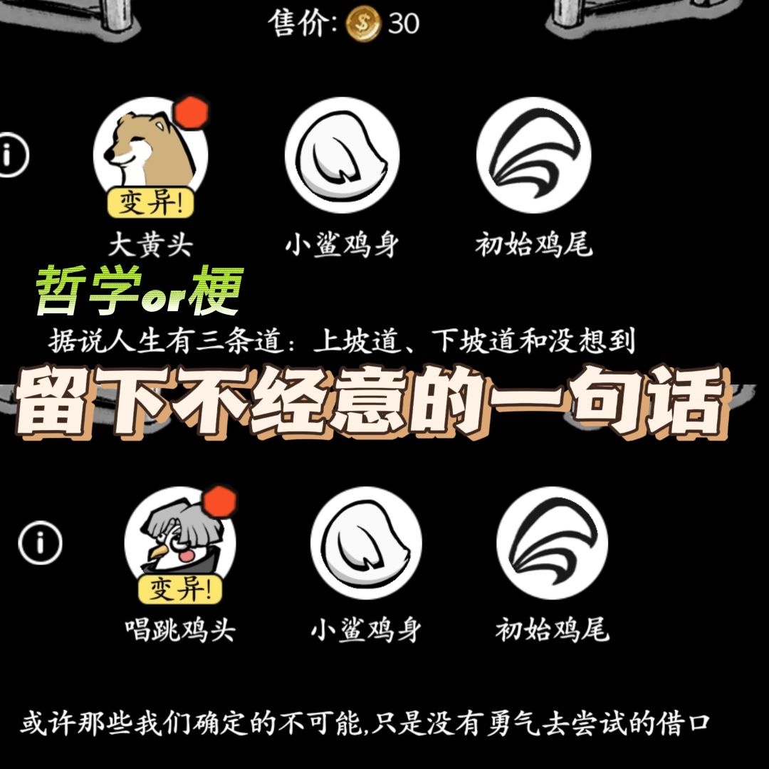 养鸡员工守则第一条:鸡不会打篮球 3